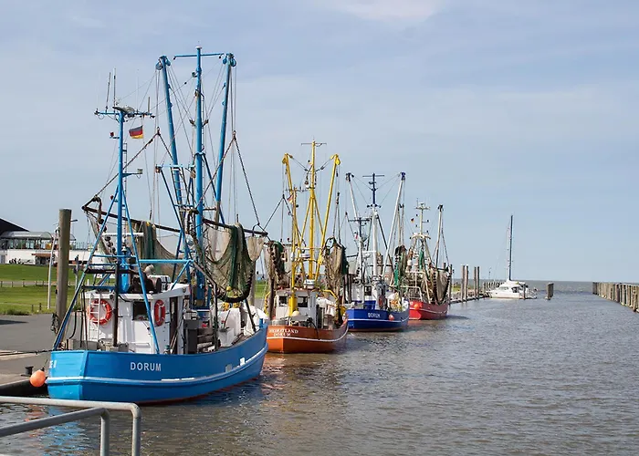 Sieltrift 4-08 דירה *